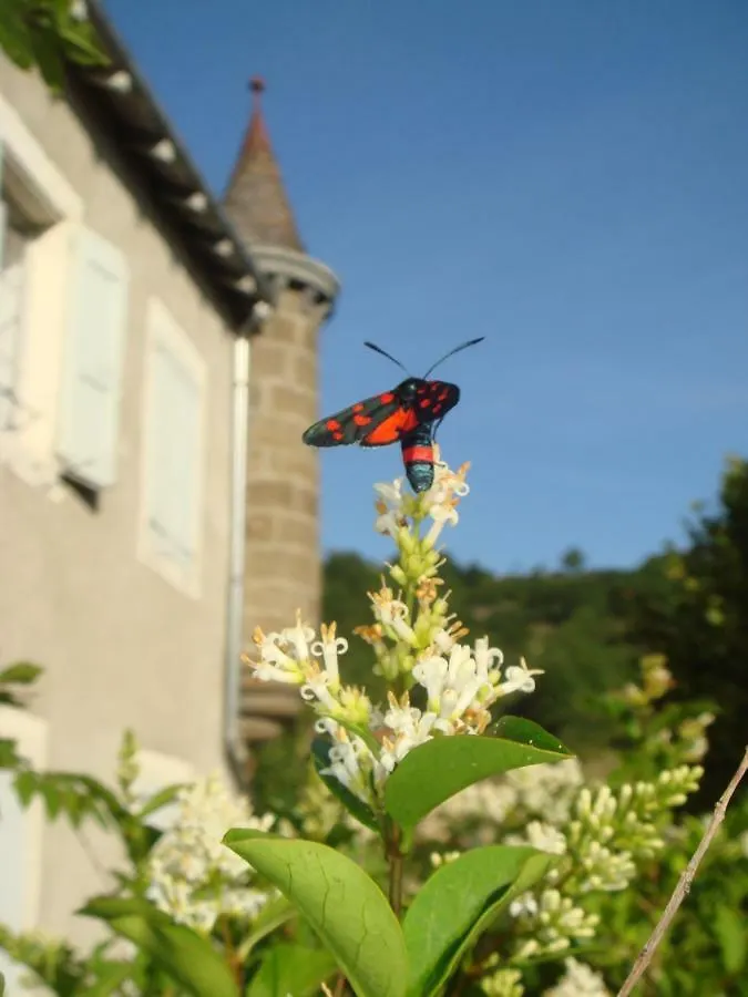 Guest house Maison Forte De Ceyssac Hotel Le Puy-en-Velay